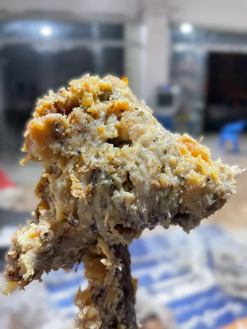 Iranian asafoetida (hing) plants from Kashmar region